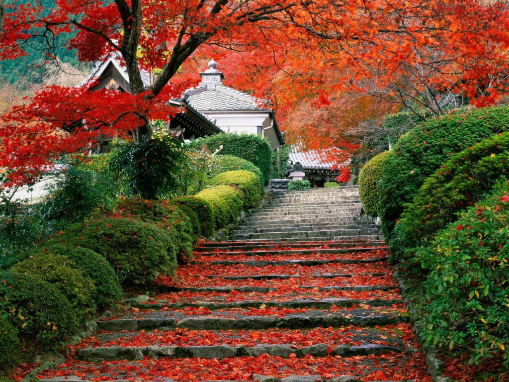 сад в Японии